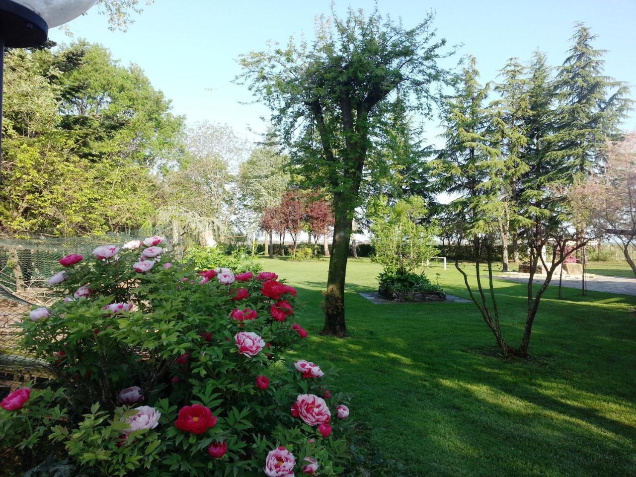 Dogana Vecchia - Hotel & Residence B&B Ristorante & Pizzeria Trivignano Udinese Exterior foto
